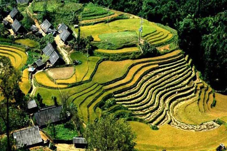 Sapa Trekking 3 days 2 nights - Overnight at Homestay