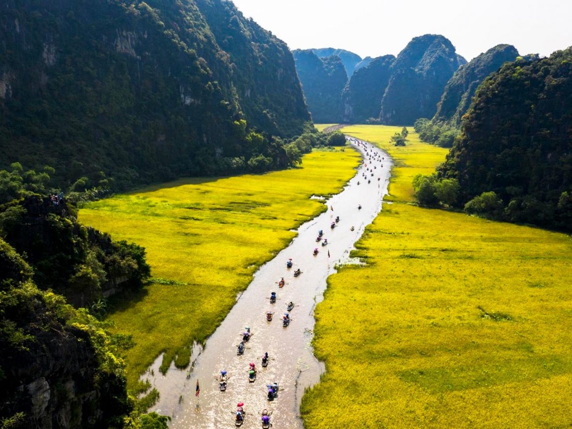 hoa lu tam coc mua cave