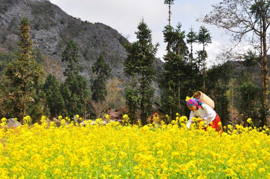 Heaven is a place on Dong Van plateau – Ha Giang