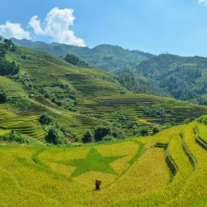 Five destinations with terrific terraced fields for an October visit in Vietnam