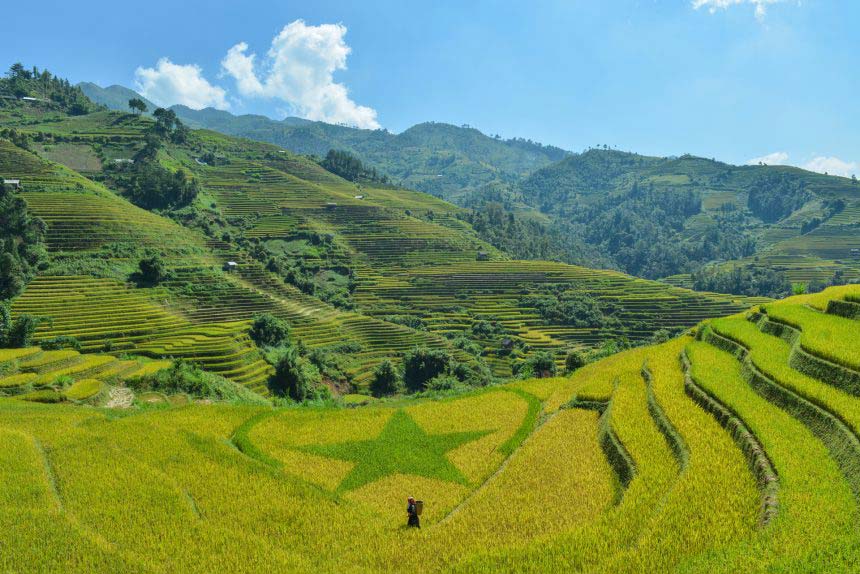 Five destinations with terrific terraced fields for an October visit in Vietnam