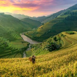 Vietnam a great place to ‘spend less, enjoy more’