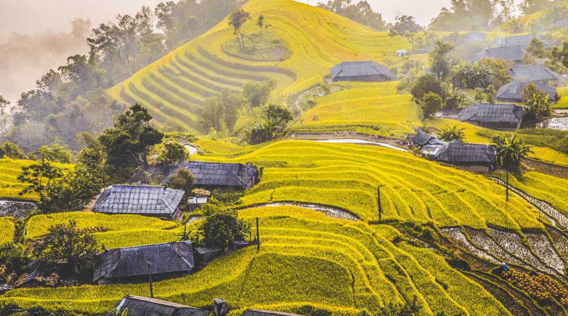 Explore The North Of Vietnam In 12 Days Package