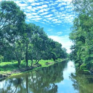 Hau Giang, the charm of river country